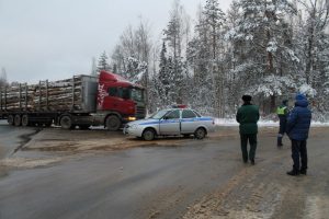 Сотрудники ГИБДД проводят рейды по выявлению незаконной перевозки древесины