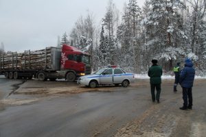 Сотрудники ГИБДД проводят рейды по выявлению незаконной перевозки древесины
