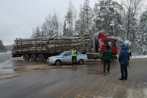 Сотрудники ГИБДД проводят рейды по выявлению незаконной перевозки древесины