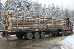 Сотрудники ГИБДД проводят рейды по выявлению незаконной перевозки древесины