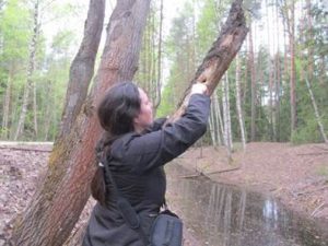 В НАЦИОНАЛЬНОМ ПАРКЕ «МЕЩЕРА» ПОДВЕЛИ ИТОГИ НАУЧНО-ИССЛЕДОВАТЕЛЬСКОЙ ДЕЯТЕЛЬНОСТИ