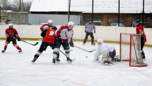 Чемпионат Владимирской области по хоккею с шайбой