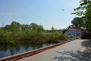 плавучий остров