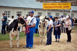 Владимирские Зори-2018