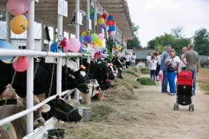 Владимирские Зори-2018