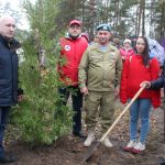 онф