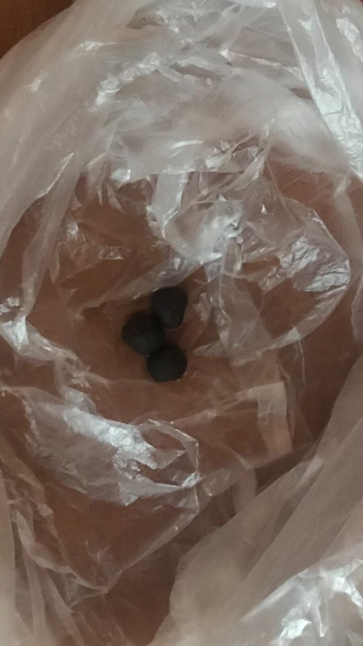 задержание