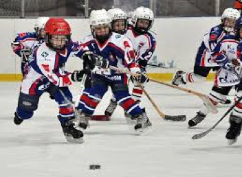 Секция хоккея