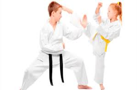 Карате секция